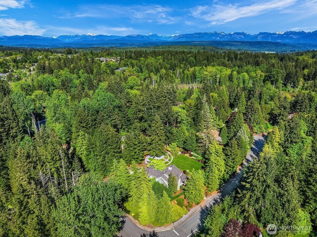 26108 SE 27th St, Sammamish, WA 98075 - aerial view of a forest and a mountain backdrop