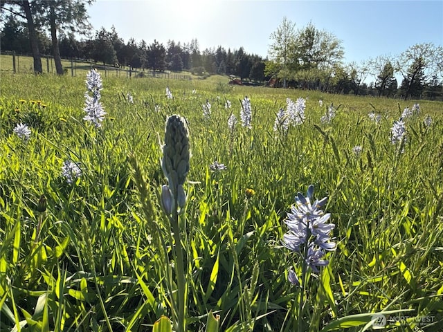 1181 Elk Heights Rd, Cle Elum, WA 98922 - view of nature