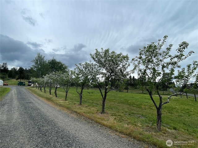 1181 Elk Heights Rd, Cle Elum, WA 98922 - view of street