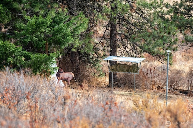 1181 Elk Heights Rd, Cle Elum, WA 98922 - view of outdoor structure featuring a detached carport
