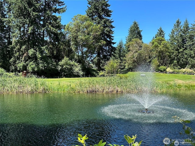 10709 Madrona Dr, Anderson Island, WA 98303 - photo 1