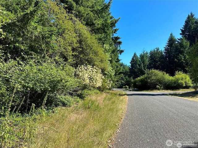10709 Madrona Dr, Anderson Island, WA 98303 - photo 2