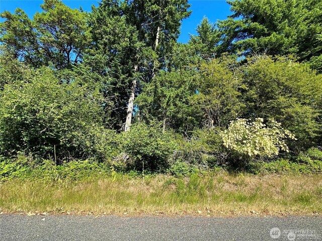 10709 Madrona Dr, Anderson Island, WA 98303 - photo 3