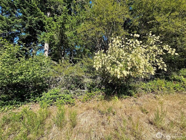 10709 Madrona Dr, Anderson Island, WA 98303 - photo 4