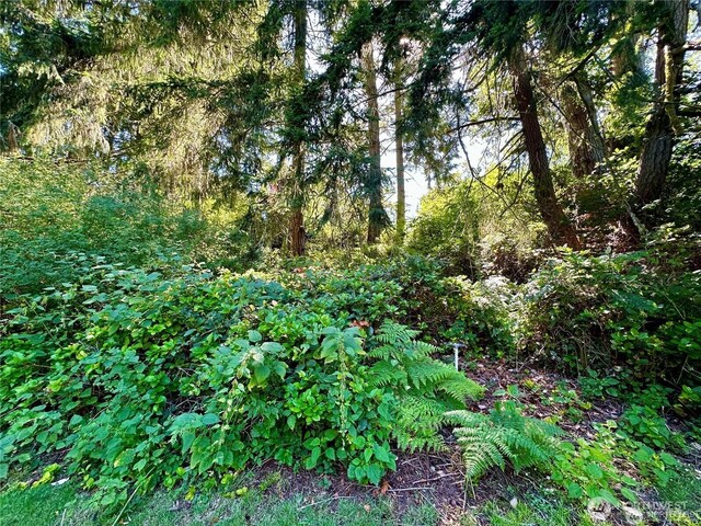 10709 Madrona Dr, Anderson Island, WA 98303 - photo 6