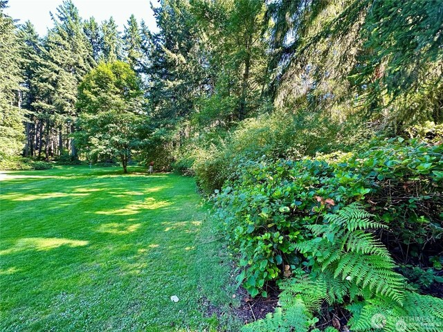 10709 Madrona Dr, Anderson Island, WA 98303 - photo 7