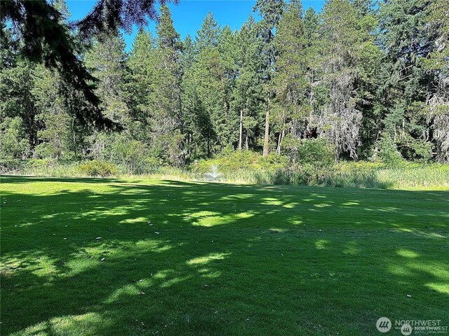 10709 Madrona Dr, Anderson Island, WA 98303 - photo 8