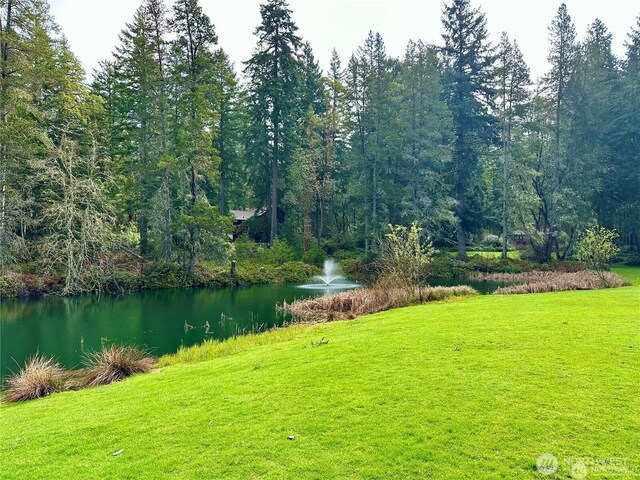 10709 Madrona Dr, Anderson Island, WA 98303 - photo 9