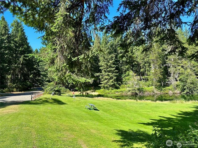 10709 Madrona Dr, Anderson Island, WA 98303 - photo 11