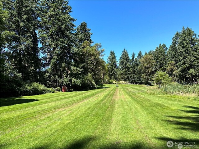10709 Madrona Dr, Anderson Island, WA 98303 - photo 12
