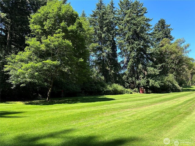 10709 Madrona Dr, Anderson Island, WA 98303 - photo 13