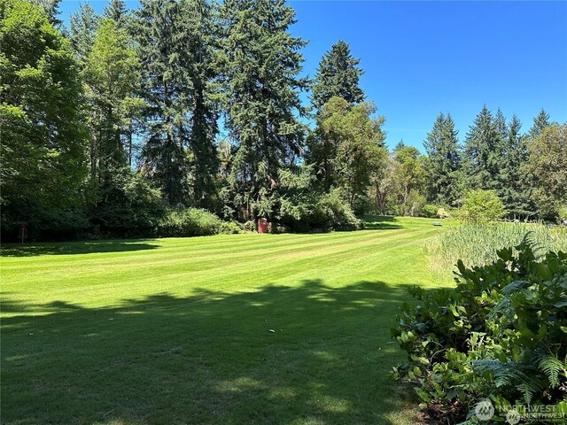 10709 Madrona Dr, Anderson Island, WA 98303 - photo 14