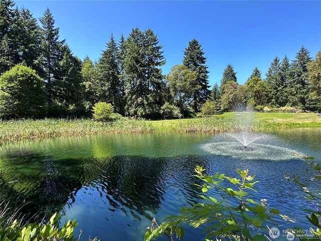10709 Madrona Dr, Anderson Island, WA 98303 - photo 15