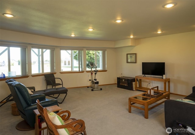 162 W Nelson Rd, Sequim, WA 98382 - living area with carpet flooring, baseboards, and recessed lighting