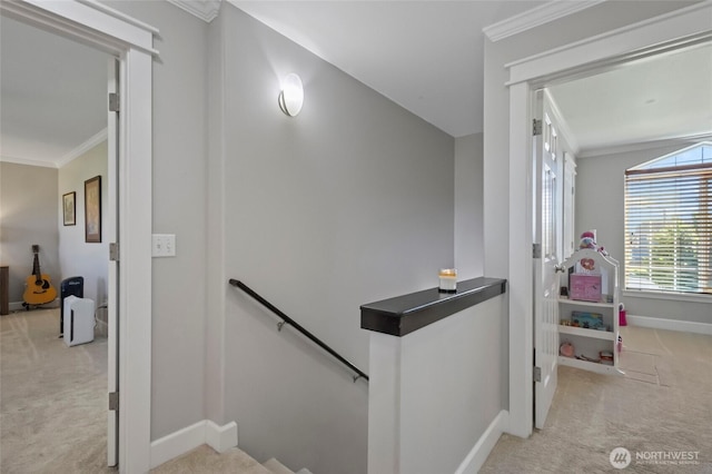staircase featuring carpet, baseboards, and crown molding