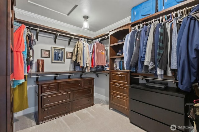 spacious closet with light colored carpet