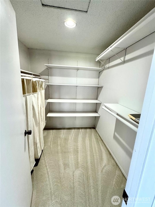 332 162nd Pl SE, Bothell, WA 98012 - spacious closet with carpet floors