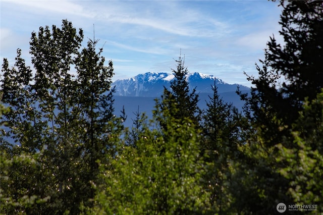 702 Woodland Dr, Port Townsend, WA 98368 - view of mountain background