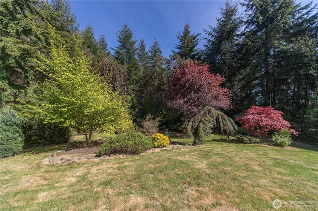 702 Woodland Dr, Port Townsend, WA 98368 - view of grassy yard with a view of trees