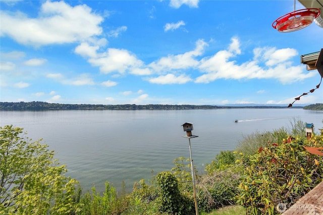 4805 Cushman Rd NE Unit 61, Olympia, WA 98506 - water view