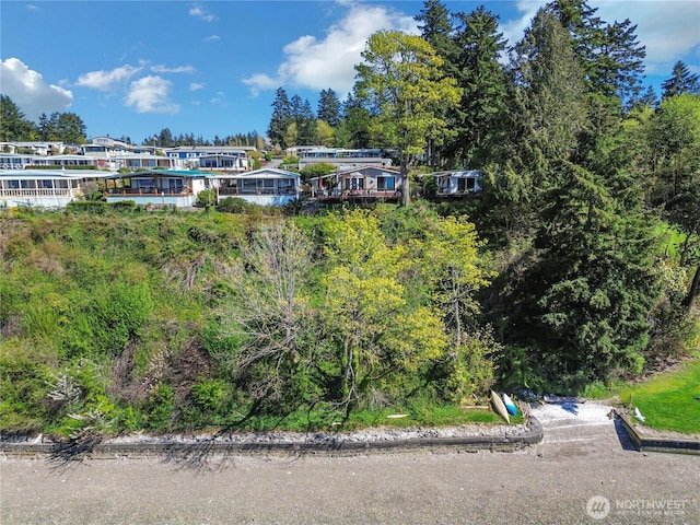4805 Cushman Rd NE Unit 61, Olympia, WA 98506 - view of dock