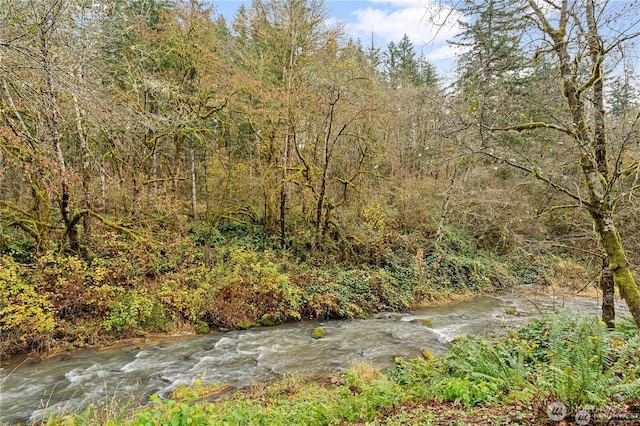 30521 NE 147th Ct, Battle Ground, WA 98604 - view of nature