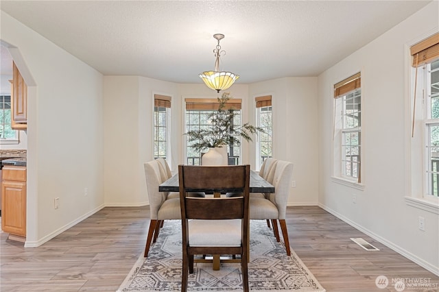 30521 NE 147th Ct, Battle Ground, WA 98604 - dining space with light wood-style floors, arched walkways, baseboards, and a textured ceiling