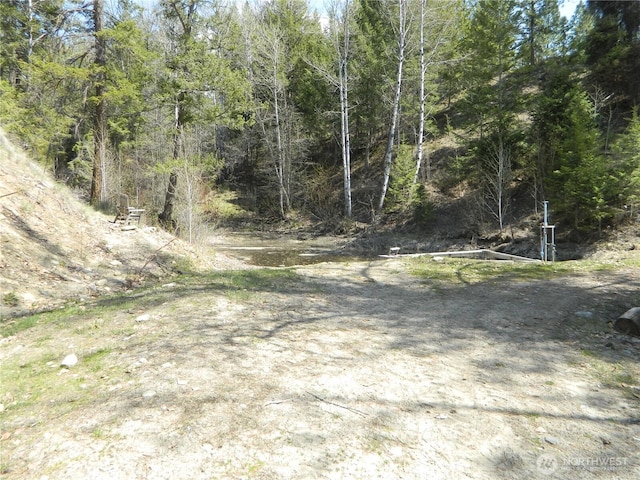 0 High Country Dr W, Tonasket, WA 98855 - view of dirt / gravel road featuring a wooded view