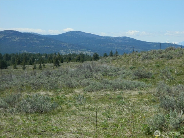 0 High Country Dr W, Tonasket, WA 98855 - mountain view