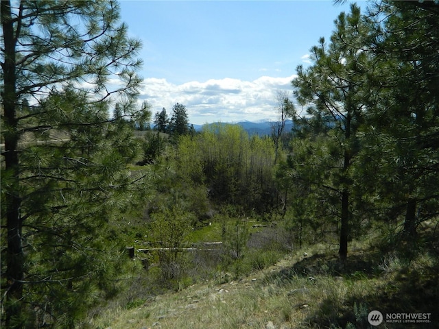 0 High Country Dr W, Tonasket, WA 98855 - view of tree filled area