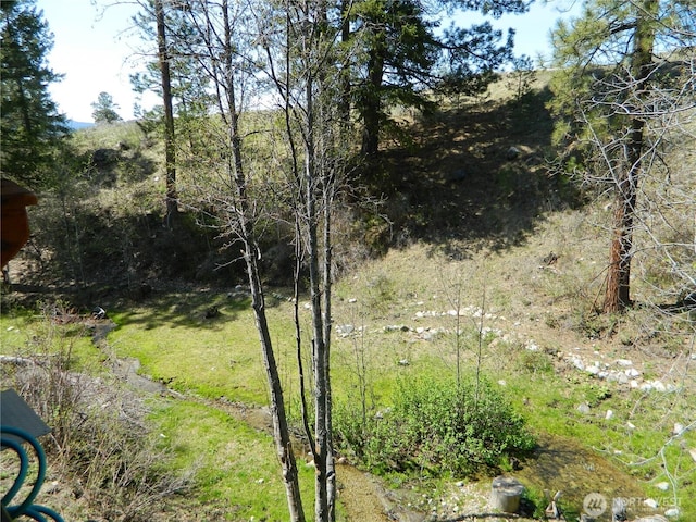 0 High Country Dr W, Tonasket, WA 98855 - view of yard