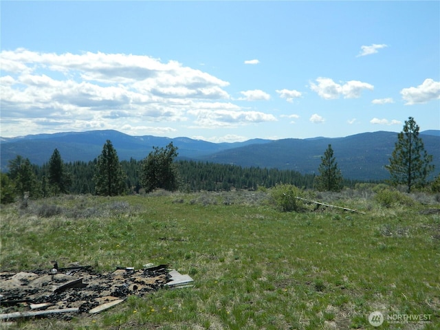 0 High Country Dr W, Tonasket, WA 98855 - view of mountain backdrop with a forest