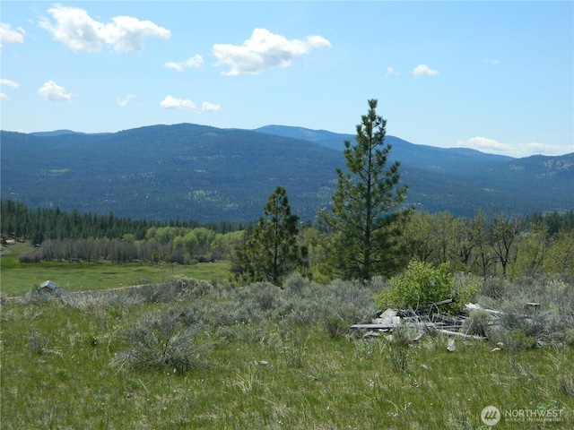 0 High Country Dr W, Tonasket, WA 98855 - view of mountain background with a forest