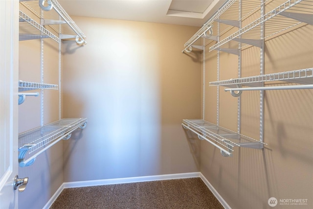 6130 Pacific Heights Dr, Ferndale, WA 98248 - walk in closet featuring carpet floors