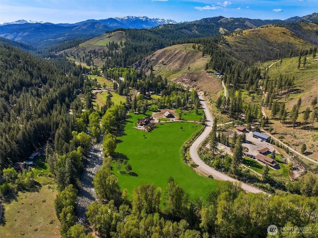 drone / aerial view of a mountainous background and a heavily wooded area