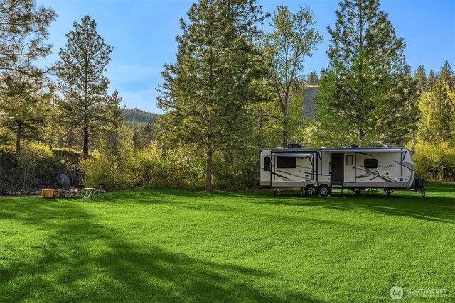 view of grassy yard featuring a forest view