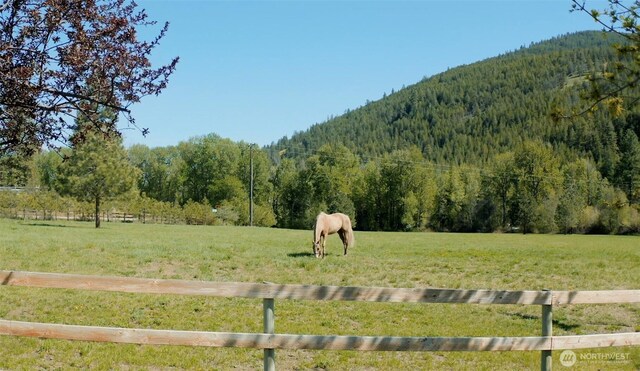 view of yard with a wooded view, a view of countryside, and a mountain view