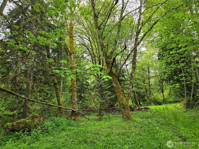 31314 555th Street Ct E, Ashford, WA 98304 - view of tree filled area