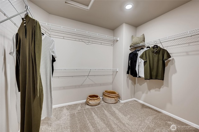 spacious closet with carpet flooring