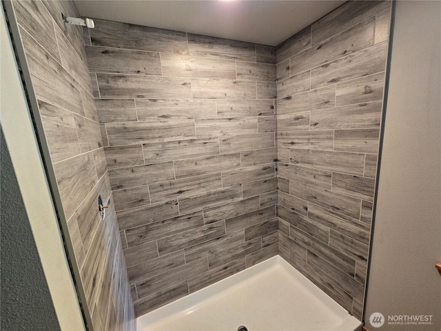 244 Skate Creek Rd N, Ashford, WA 98328 - full bathroom featuring a tile shower