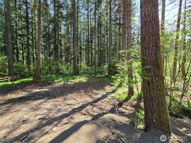 244 Skate Creek Rd N, Ashford, WA 98328 - view of tree filled area
