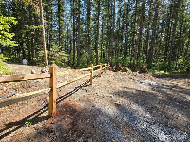 244 Skate Creek Rd N, Ashford, WA 98328 - view of street