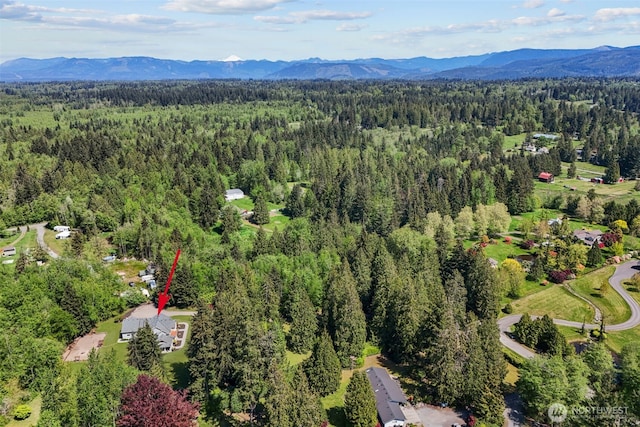 13514 95th Ave NE, Arlington, WA 98223 - aerial view of a forest and mountains