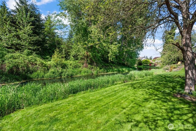 2219 W Pioneer Ave, Puyallup, WA 98371 - view of grassy yard