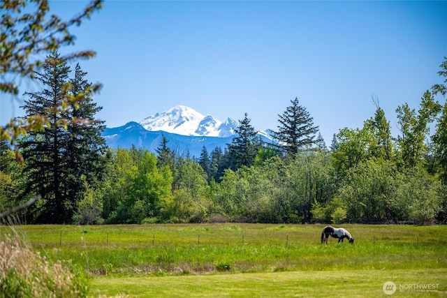 mountain view with a heavily wooded area and rural landscape