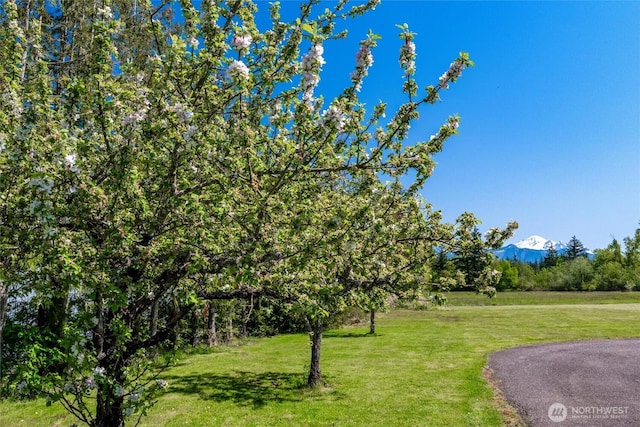 surrounding community with a yard and a mountain view