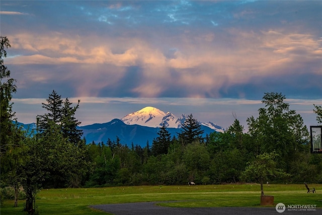 view of mountain background