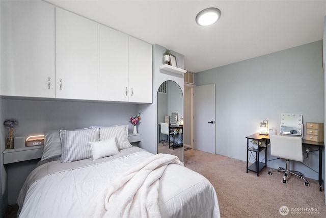 bedroom with carpet floors