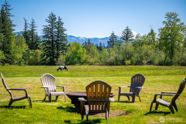 view of green lawn with a wooded view, a mountain view, and a rural view