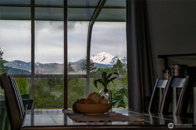 detailed view of a mountain view